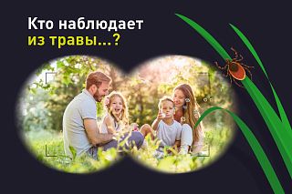 Укусил клещ? Извлеки и проверь со скидкой до 40%